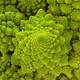 Image for article titled Incredible Photographs of Fractals Found in the Natural World
